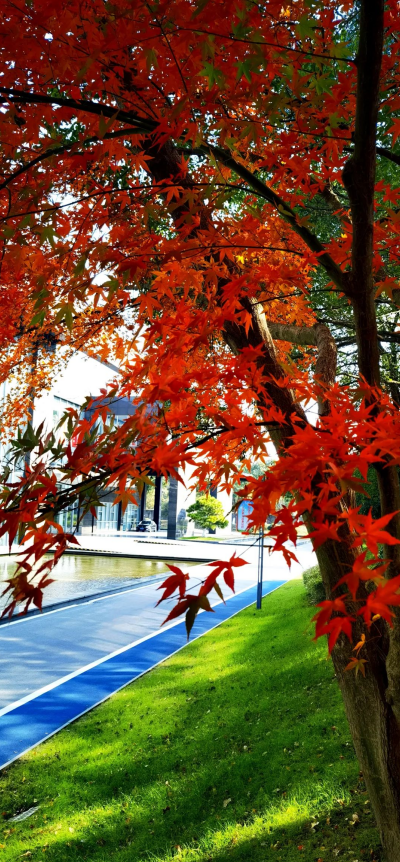 271701043726183999.png image.png